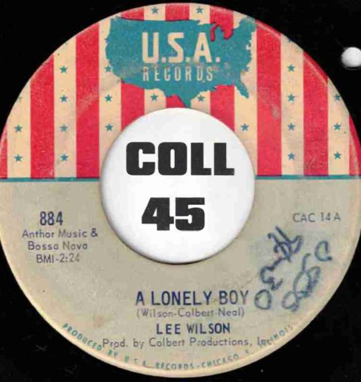 Lee Wilson - A Lonely Boy b/w If I Would Lose You - USA 7" VG