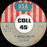 Lee Wilson – A Lonely Boy b/w If I Would Lose You – USA 7″ VG