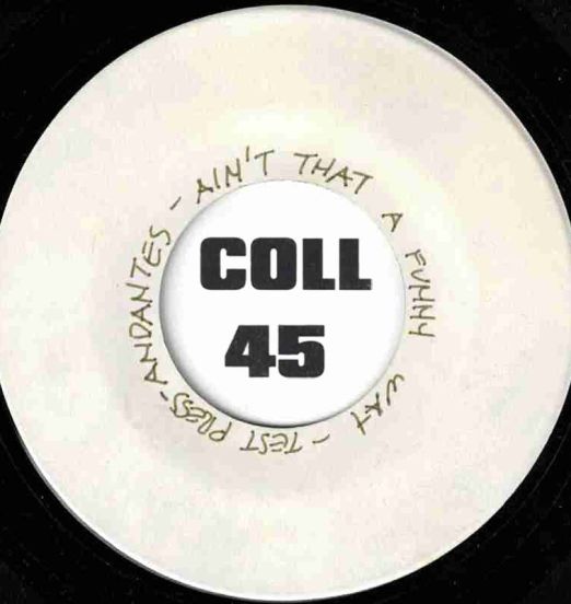 The Andantes - Ain't That A Funny Way - Test Press 7"
