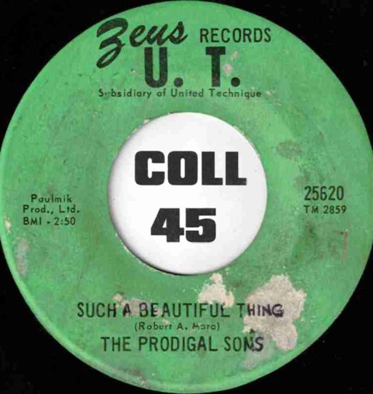 TheProdigalSons-SuchABeautifulThing-Zeus45LABELB01