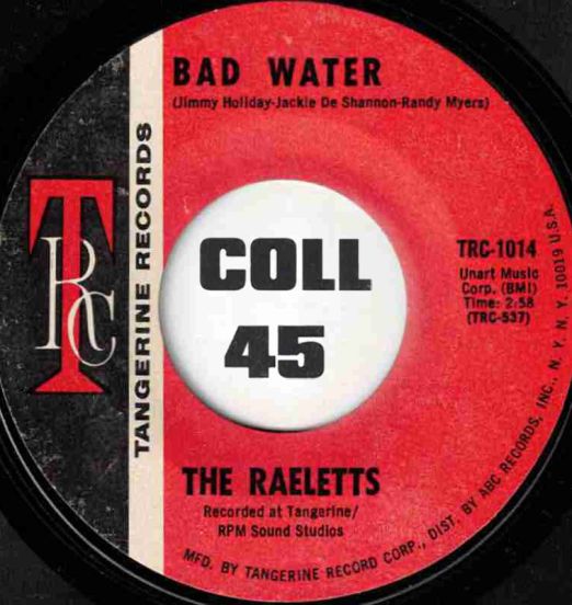 The Raeletts - Bad Water b/w That Goes To Show You - Tangerine 7"