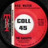 The Raeletts – Bad Water b/w That Goes To Show You – Tangerine 7″