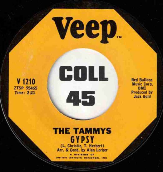 TheTammys-Gypsy-Veep45LABELB01