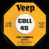 The Tammys – Hold Back The Light Of Dawn b/w Gypsy – Veep 7″