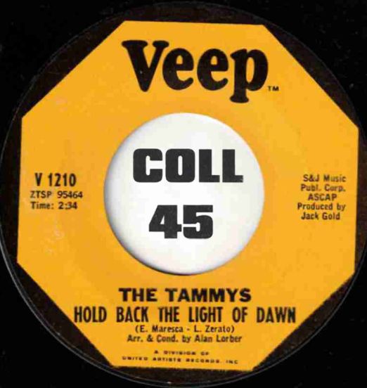 The Tammys - Hold Back The Light Of Dawn b/w Gypsy - Veep 7"