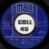 The Van Dykes – What Will I Do (If I Lose You) b/w I’ve Got To Go On Without You – Mala 7″