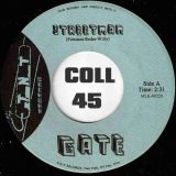 Gate – Streetman b/w Chocolate Puddin’ – Tramp GER 7″