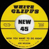 Joe Wilson – Sam, Sam The Money Man b/w Now You Want To Do Right – Tramp GER 7″