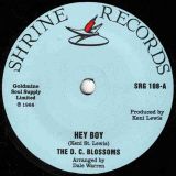 The D. C. Blossoms – Hey Boy b/w I Know About Her – Shrine UK 7″