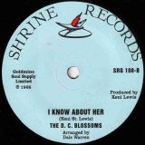 The D. C. Blossoms – Hey Boy b/w I Know About Her – Shrine UK 7″