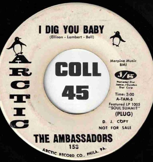 TheAmbassadors-IDigYouBaby-ArcticDJ45LABELB01