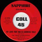 The Tenth Dymentions – The Bushman b/w My Love For You Is Growing Wild – Sapphire 7″