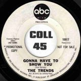 The Trends – Gonna Have To Show You b/w A Night For Love – ABC-Paramount DJ 7″