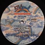 Skyy – Skyy Line – Salsoul LP